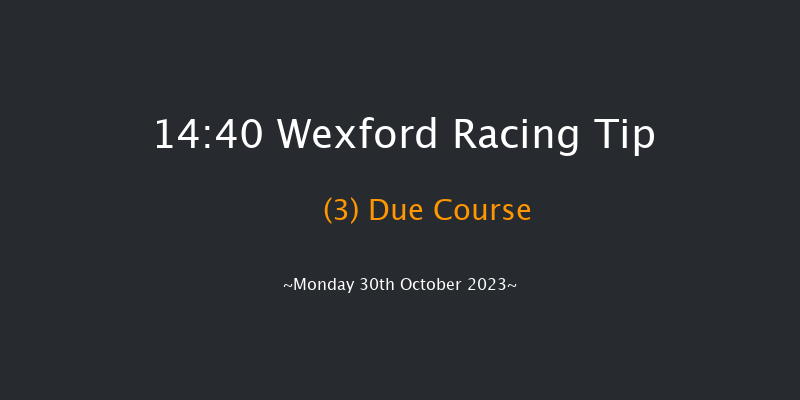 Wexford 14:40 Maiden Hurdle 20f Sun 29th Oct 2023