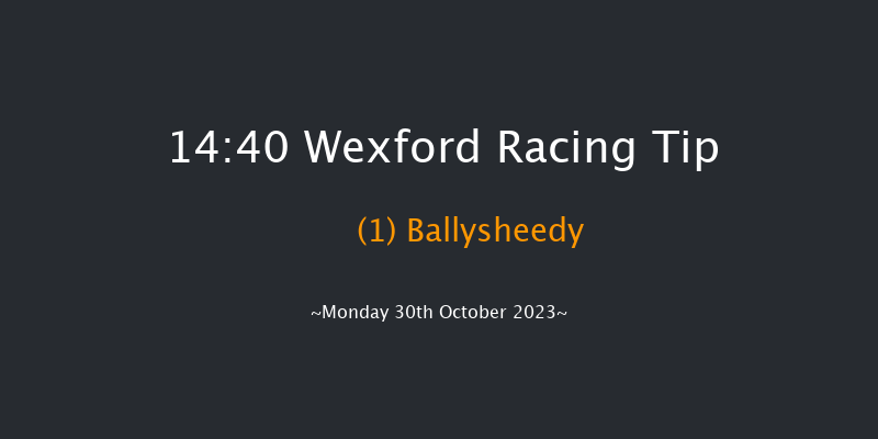 Wexford 14:40 Maiden Hurdle 20f Sun 29th Oct 2023