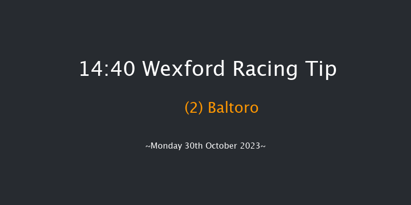 Wexford 14:40 Maiden Hurdle 20f Sun 29th Oct 2023