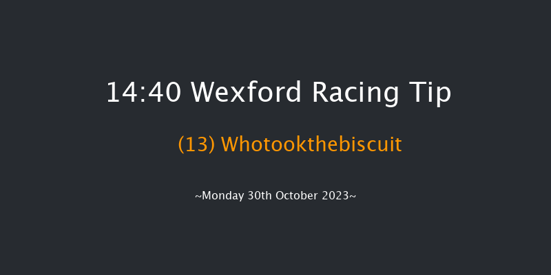 Wexford 14:40 Maiden Hurdle 20f Sun 29th Oct 2023