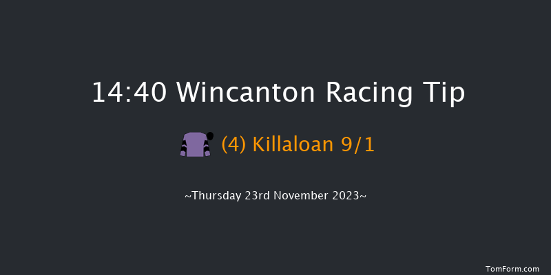 Wincanton 14:40 Handicap Hurdle (Class 3) 20f Sat 11th Nov 2023