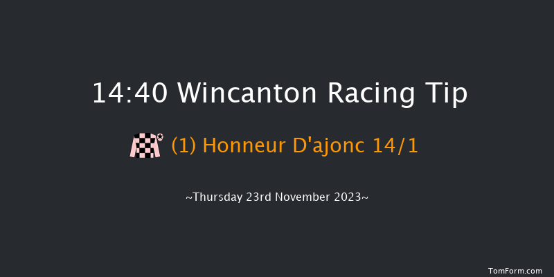 Wincanton 14:40 Handicap Hurdle (Class 3) 20f Sat 11th Nov 2023