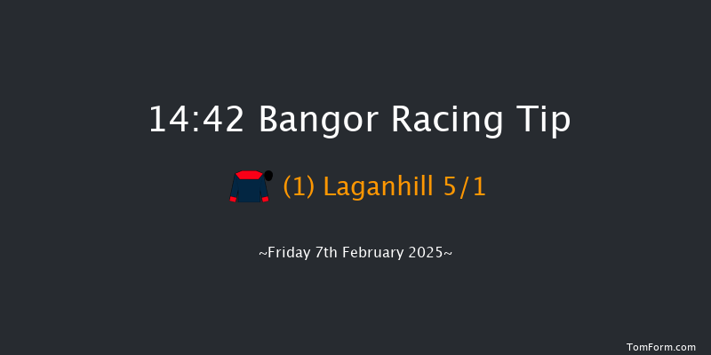 Bangor-on-dee  14:42 Maiden Hurdle (Class 3)
17f Fri 13th Dec 2024