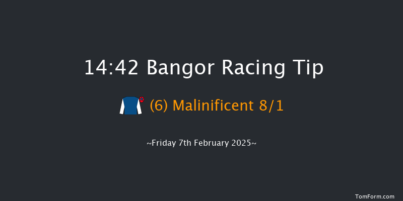 Bangor-on-dee  14:42 Maiden Hurdle (Class 3)
17f Fri 13th Dec 2024