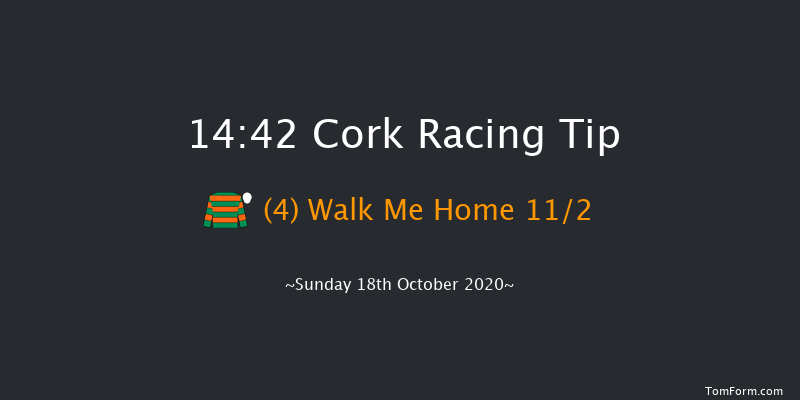 Thank You To The Frontline Workers From Cork Racecourse Handicap Hurdle (80-109) Cork 14:42 Handicap Hurdle 24f Tue 13th Oct 2020