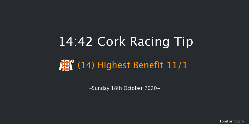 Thank You To The Frontline Workers From Cork Racecourse Handicap Hurdle (80-109) Cork 14:42 Handicap Hurdle 24f Tue 13th Oct 2020