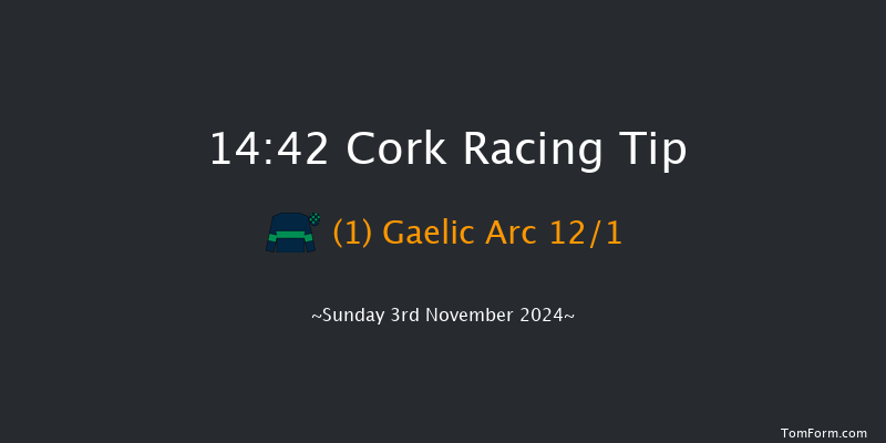 Cork  14:42 Maiden Chase 20f Sun 13th Oct 2024