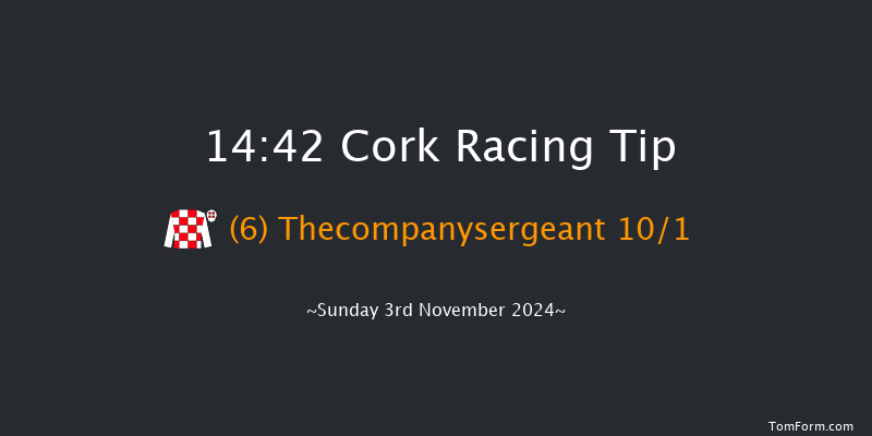 Cork  14:42 Maiden Chase 20f Sun 13th Oct 2024