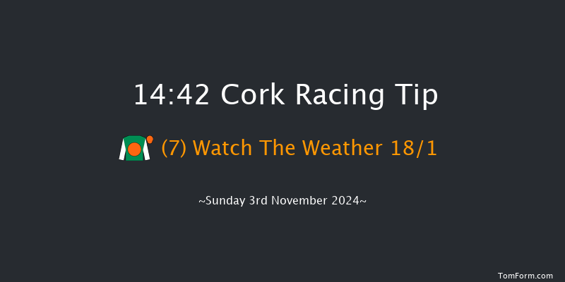 Cork  14:42 Maiden Chase 20f Sun 13th Oct 2024