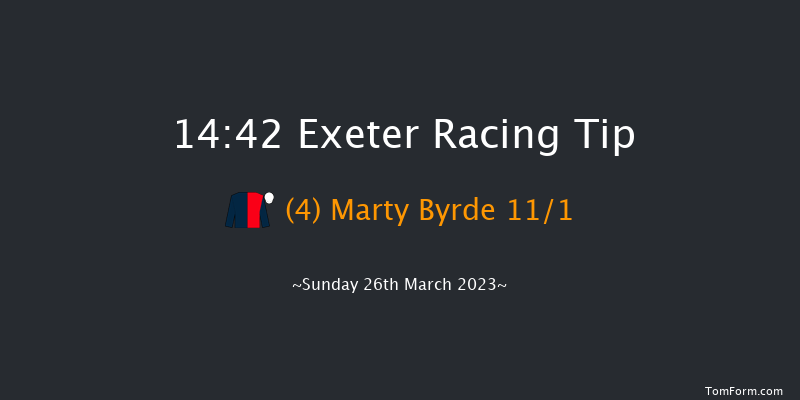 Exeter 14:42 Maiden Hurdle (Class 4) 22f Fri 10th Mar 2023