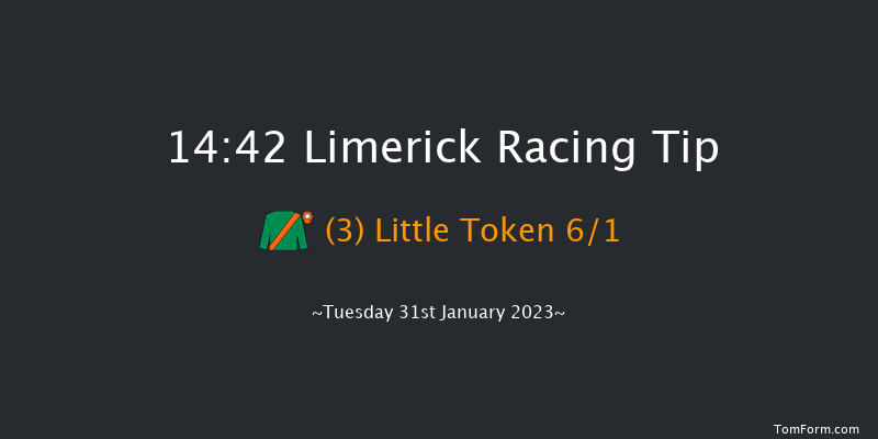 Limerick 14:42 Handicap Hurdle 16f Thu 29th Dec 2022