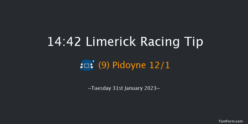 Limerick 14:42 Handicap Hurdle 16f Thu 29th Dec 2022