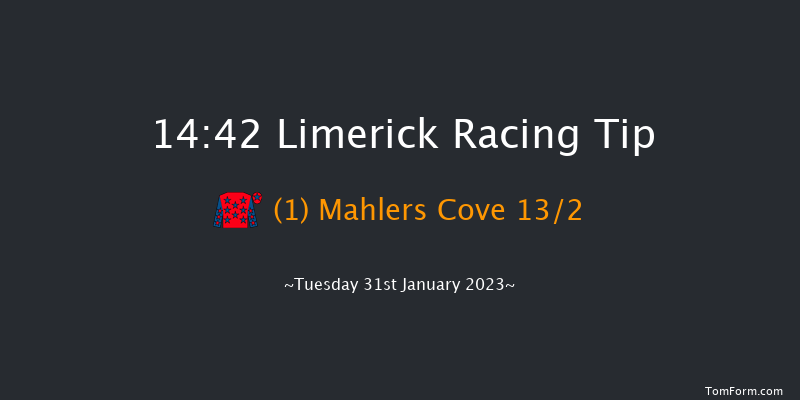Limerick 14:42 Handicap Hurdle 16f Thu 29th Dec 2022