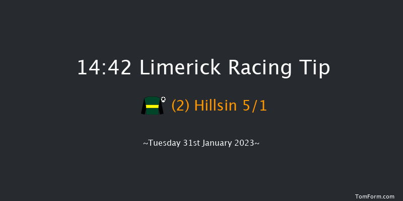 Limerick 14:42 Handicap Hurdle 16f Thu 29th Dec 2022