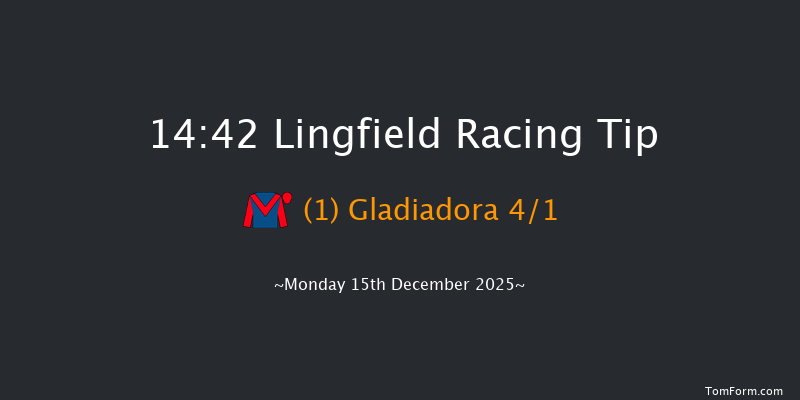 Lingfield 14-42 (Class 6) 8f Sat 13th Dec 2025
