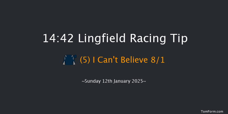 Lingfield  14:42 Handicap (Class 6) 8f Fri 10th Jan 2025