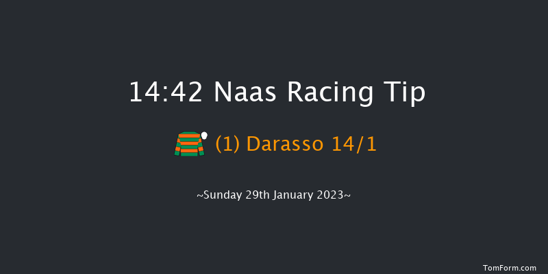 Naas 14:42 Conditions Hurdle 16f Sun 8th Jan 2023