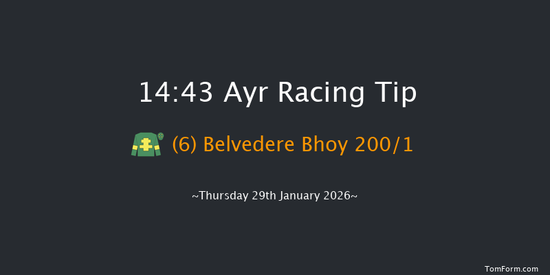 Ayr 14-43 (Class 4) 16f Tue 13th Jan 2026