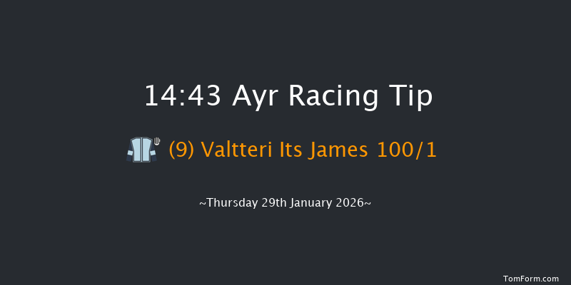 Ayr 14-43 (Class 4) 16f Tue 13th Jan 2026