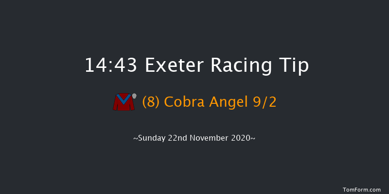 Follow racingtv On Instagram Handicap Hurdle Exeter 14:43 Handicap Hurdle (Class 4) 17f Wed 11th Nov 2020