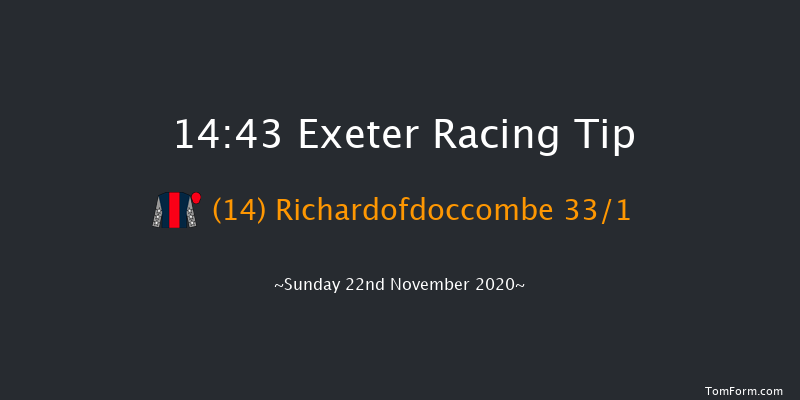 Follow racingtv On Instagram Handicap Hurdle Exeter 14:43 Handicap Hurdle (Class 4) 17f Wed 11th Nov 2020