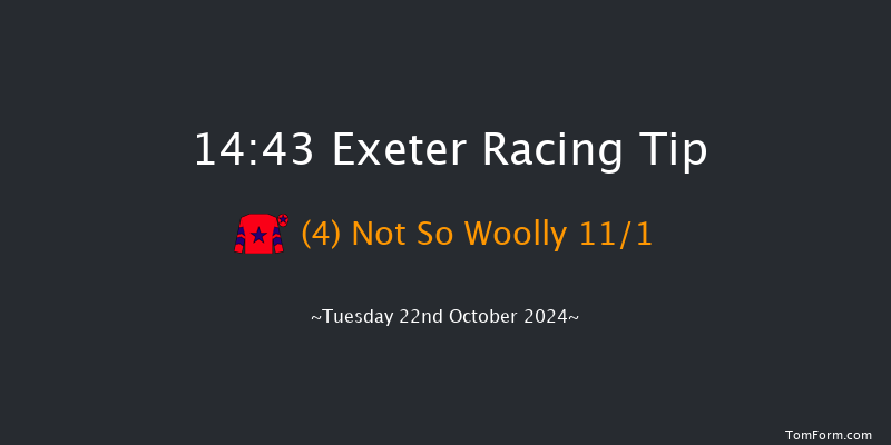 Exeter  14:43 Maiden Hurdle (Class 4) 18f Thu 10th Oct 2024