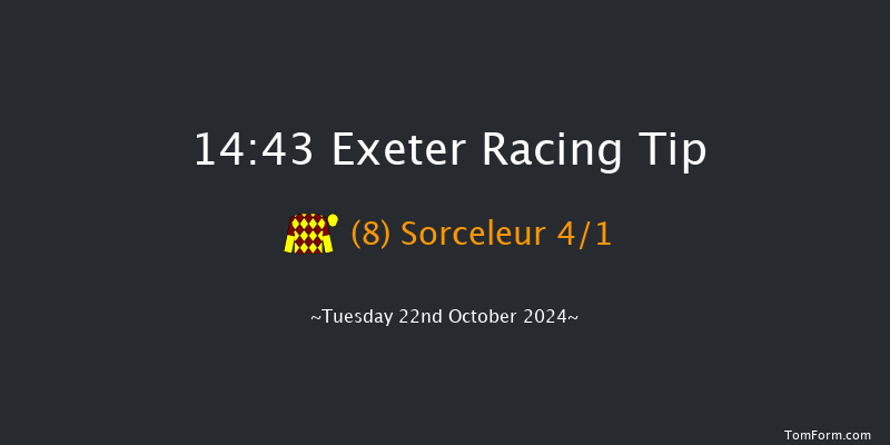 Exeter  14:43 Maiden Hurdle (Class 4) 18f Thu 10th Oct 2024
