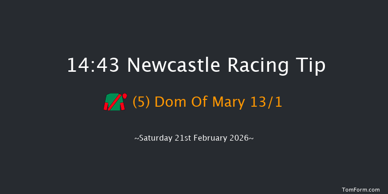 Newcastle 14-43 (Class 2) 33f Thu 19th Feb 2026