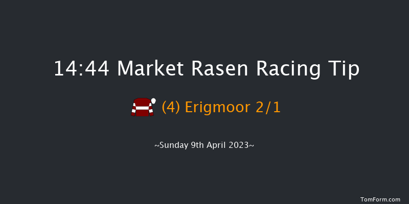 Market Rasen 14:44 Handicap Hurdle (Class 5) 21f Wed 29th Mar 2023