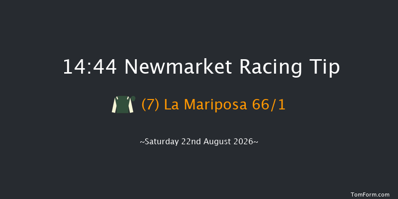 Newmarket 14-44 (Class 5) 8f Fri 21st Aug 2026