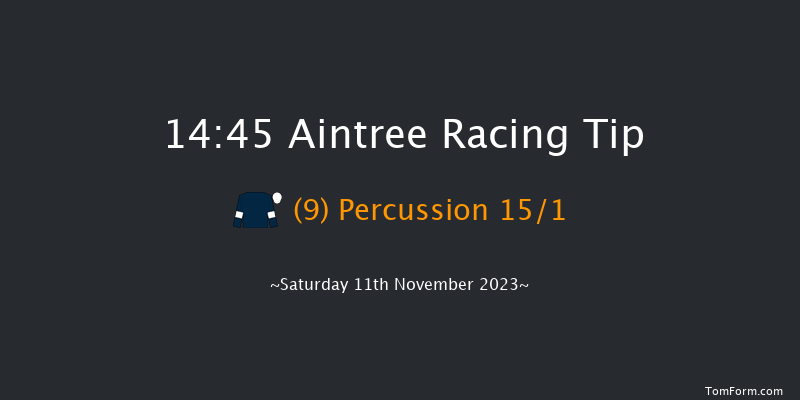 Aintree 14:45 Handicap Chase (Class 2) 21f Sun 29th Oct 2023