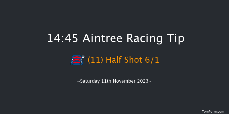 Aintree 14:45 Handicap Chase (Class 2) 21f Sun 29th Oct 2023