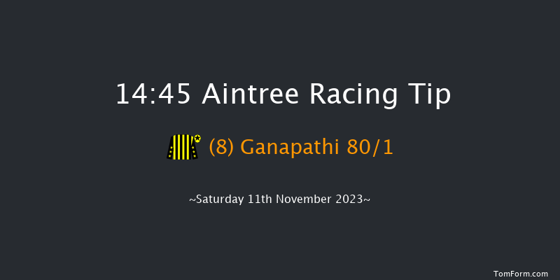 Aintree 14:45 Handicap Chase (Class 2) 21f Sun 29th Oct 2023