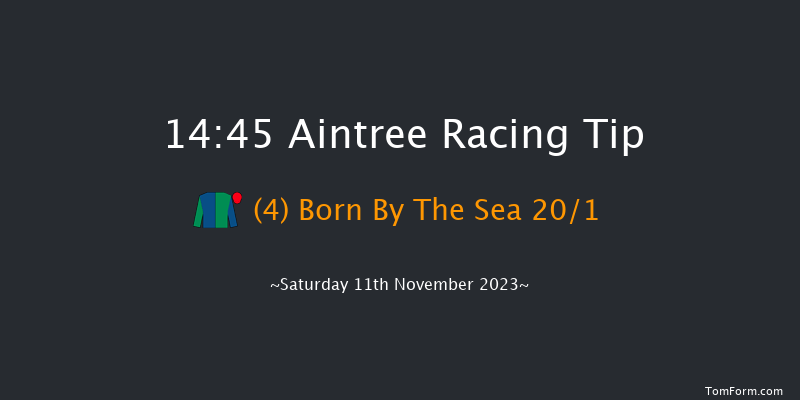 Aintree 14:45 Handicap Chase (Class 2) 21f Sun 29th Oct 2023