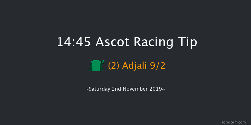 Ascot 14:45 Handicap Hurdle (Class 1) 16f Sat 19th Oct 2019