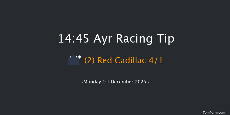 Ayr 14-45 (Class 5) 19f Wed 12th Nov 2025