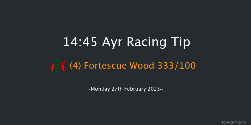 Ayr 14:45 Novices Hurdle (Class 4) 16f Tue 14th Feb 2023