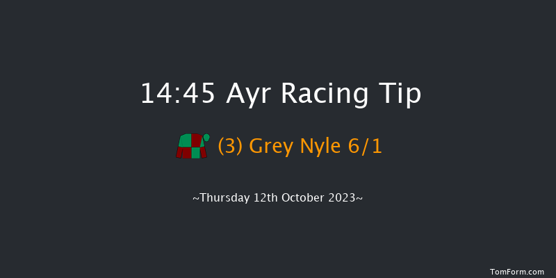 Ayr 14:45 Stakes (Class 5) 8f Tue 3rd Oct 2023