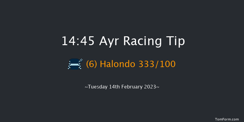 Ayr 14:45 Maiden Hurdle (Class 4) 20f Wed 1st Feb 2023