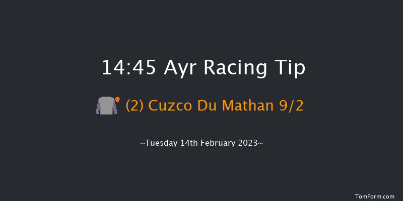 Ayr 14:45 Maiden Hurdle (Class 4) 20f Wed 1st Feb 2023