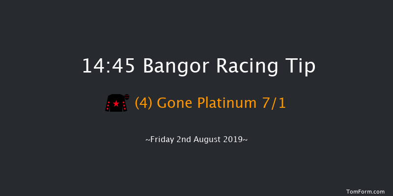 Bangor 14:45 Handicap Chase (Class 3) 24f Thu 1st Jan 1970