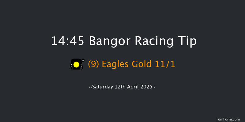 Bangor 14-45 (Class 4) 19f Sat 22nd Mar 2025