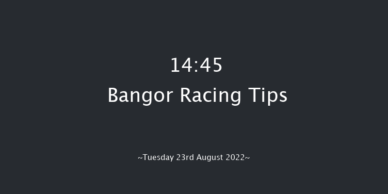 Bangor 14:45 Handicap Chase (Class 3) 24f Mon 15th Aug 2022