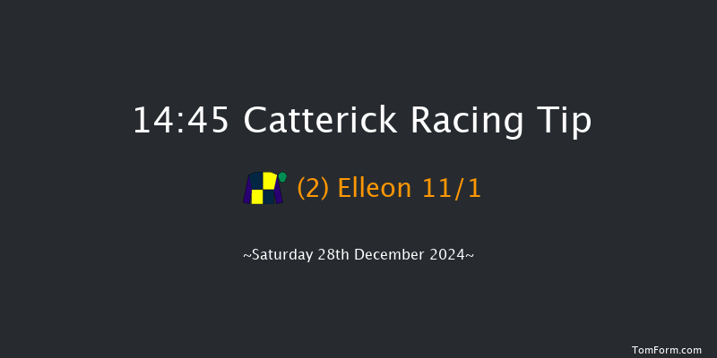 Catterick  14:45 Handicap Chase (Class 5) 25f Tue 17th Dec 2024