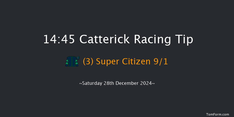 Catterick  14:45 Handicap Chase (Class 5) 25f Tue 17th Dec 2024