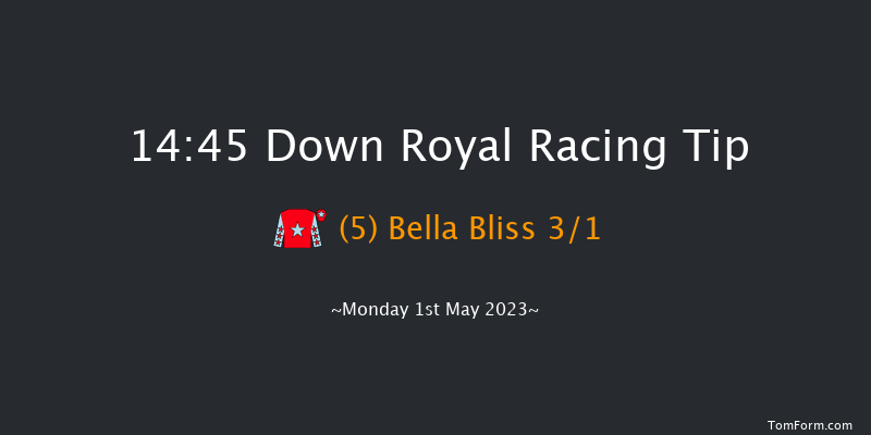 Down Royal 14:45 Conditions Hurdle 24f Fri 17th Mar 2023