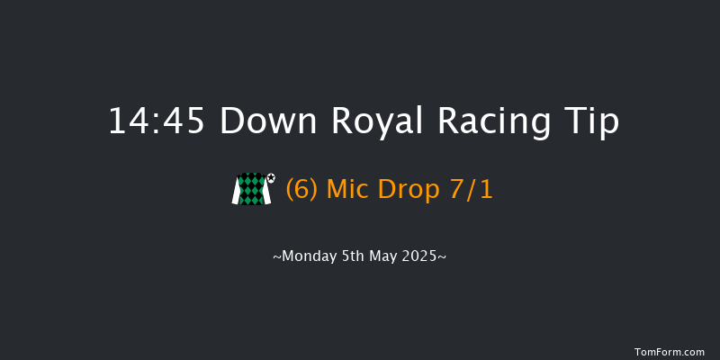 Down Royal 14-45 24f Sun 13th Apr 2025