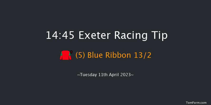 Exeter 14:45 Handicap Chase (Class 5) 19f Sun 26th Mar 2023