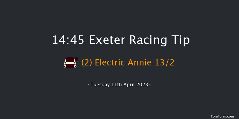 Exeter 14:45 Handicap Chase (Class 5) 19f Sun 26th Mar 2023