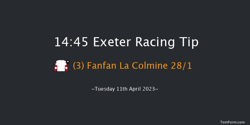 Exeter 14:45 Handicap Chase (Class 5) 19f Sun 26th Mar 2023